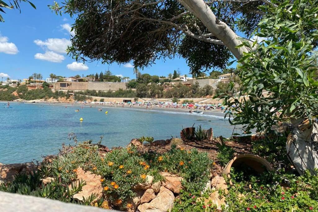 Luxury Penthouse Oasis Beach VIII Orihuela Costa Punta Prima Torrevieja Luaran gambar
